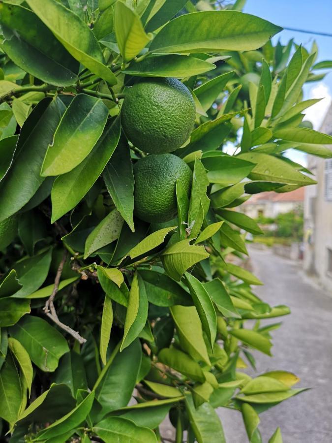 Casa Segota Hotell Veli Iž Exteriör bild
